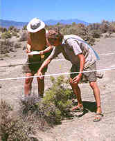 Images:Measuring plants