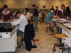 lab